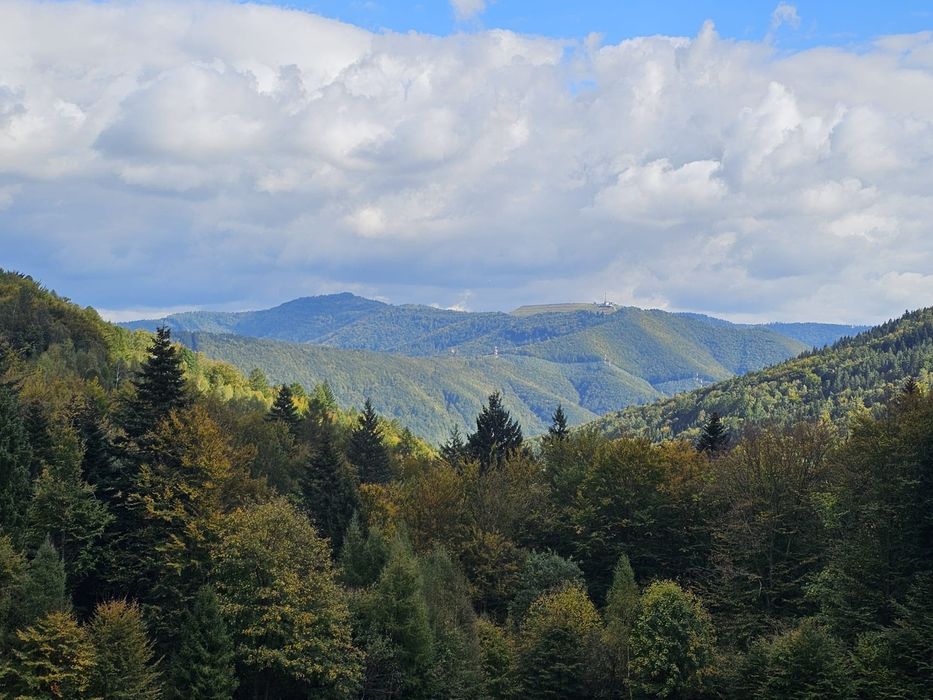 Dom Wakacyjny Malowany Las Międzybrodzie Bialskie Balia  Jacuzzi