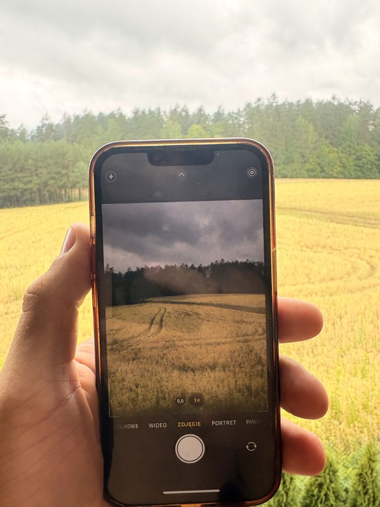 iphone 13 265gb 85%
