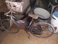 Rower hanseatic damka