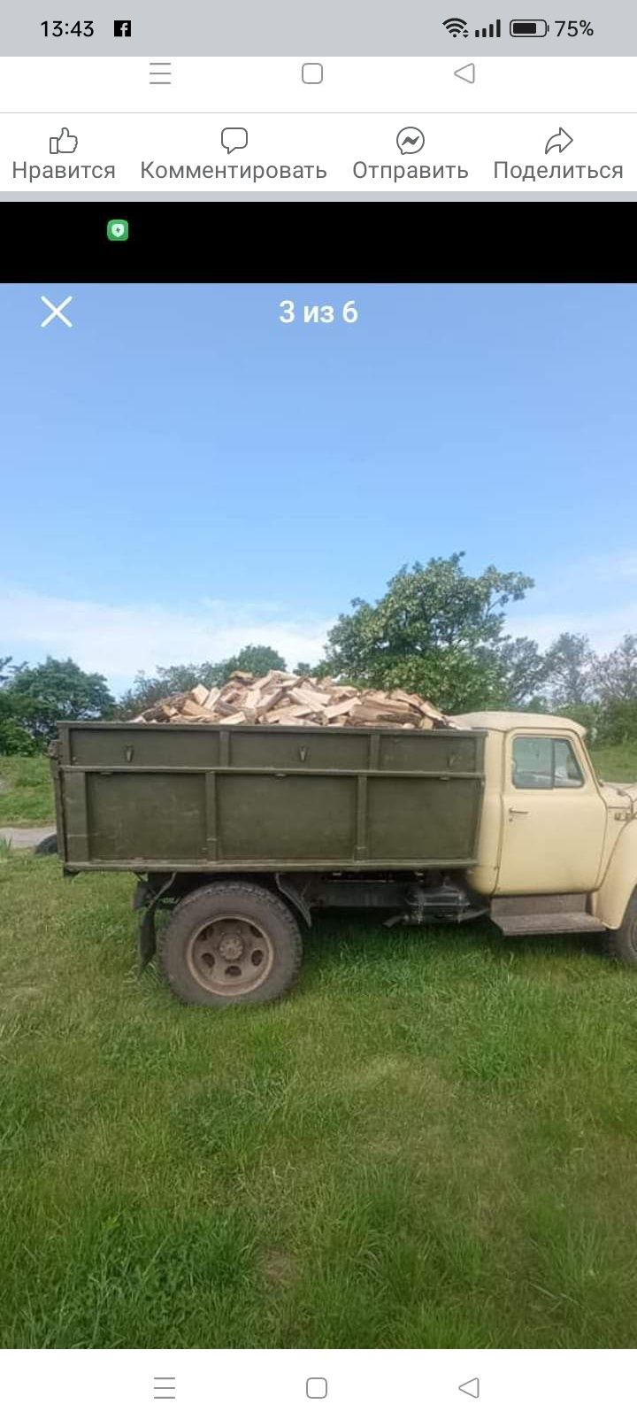 Дрова твердих порід