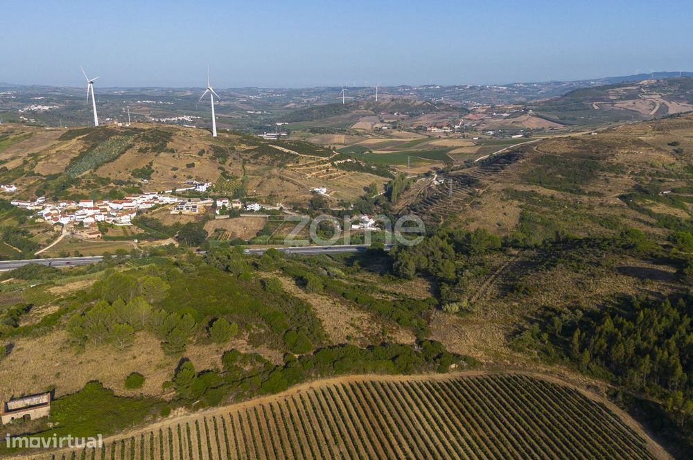 Propriedade vinícola em Torres Vedras