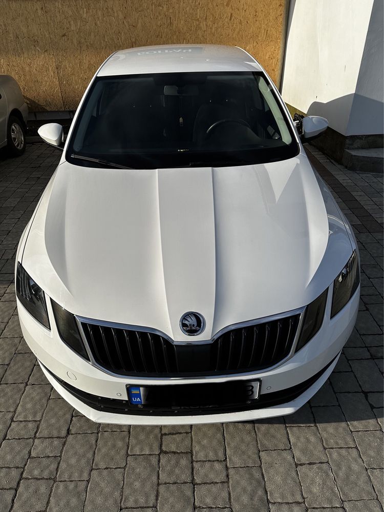 Skoda oktavia a7 2019р