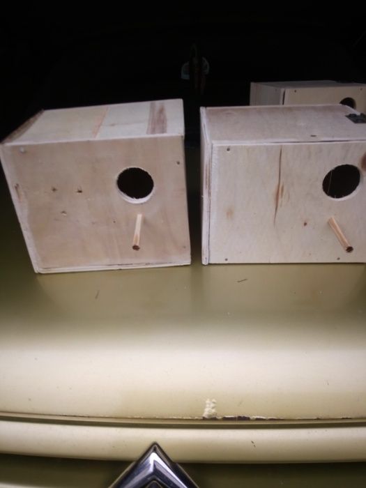 Budka   lęgowa papuga