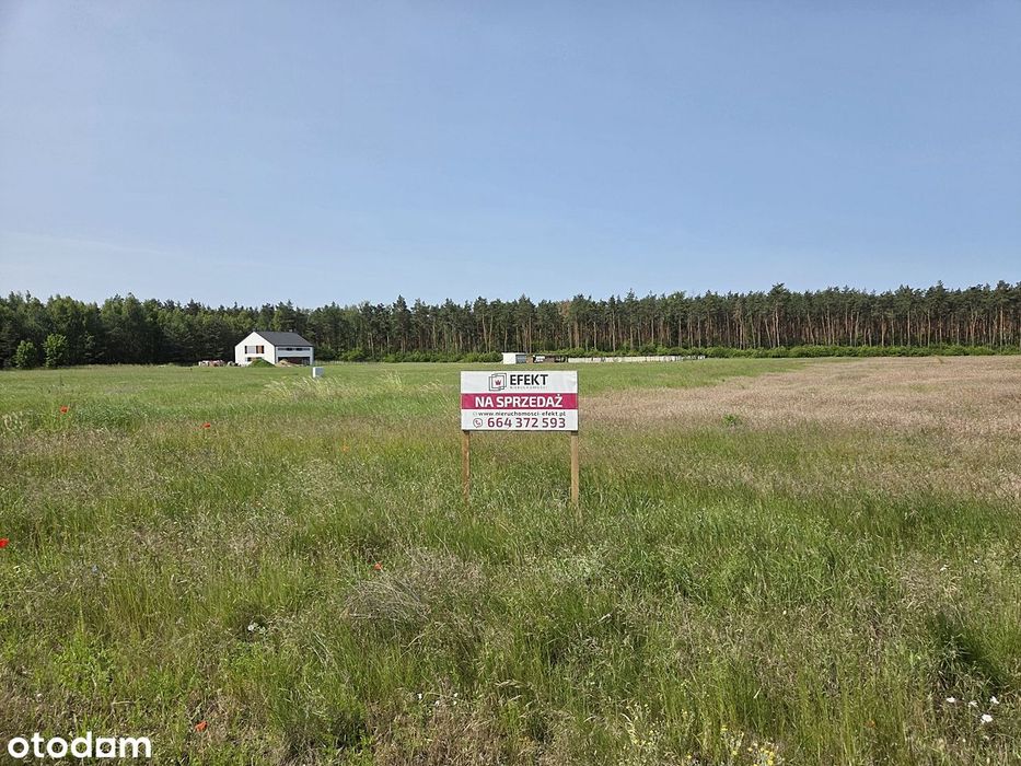 Kompleks działek w okolicy Jeziora Jankowskiego