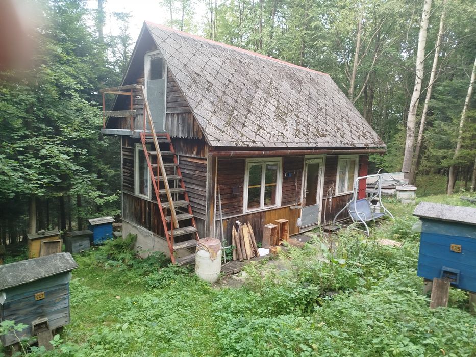 Wydzierżawię domek  na odludziu