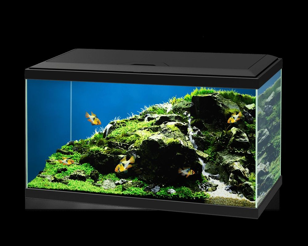 Aquário Ciano 60 LED com acessórios