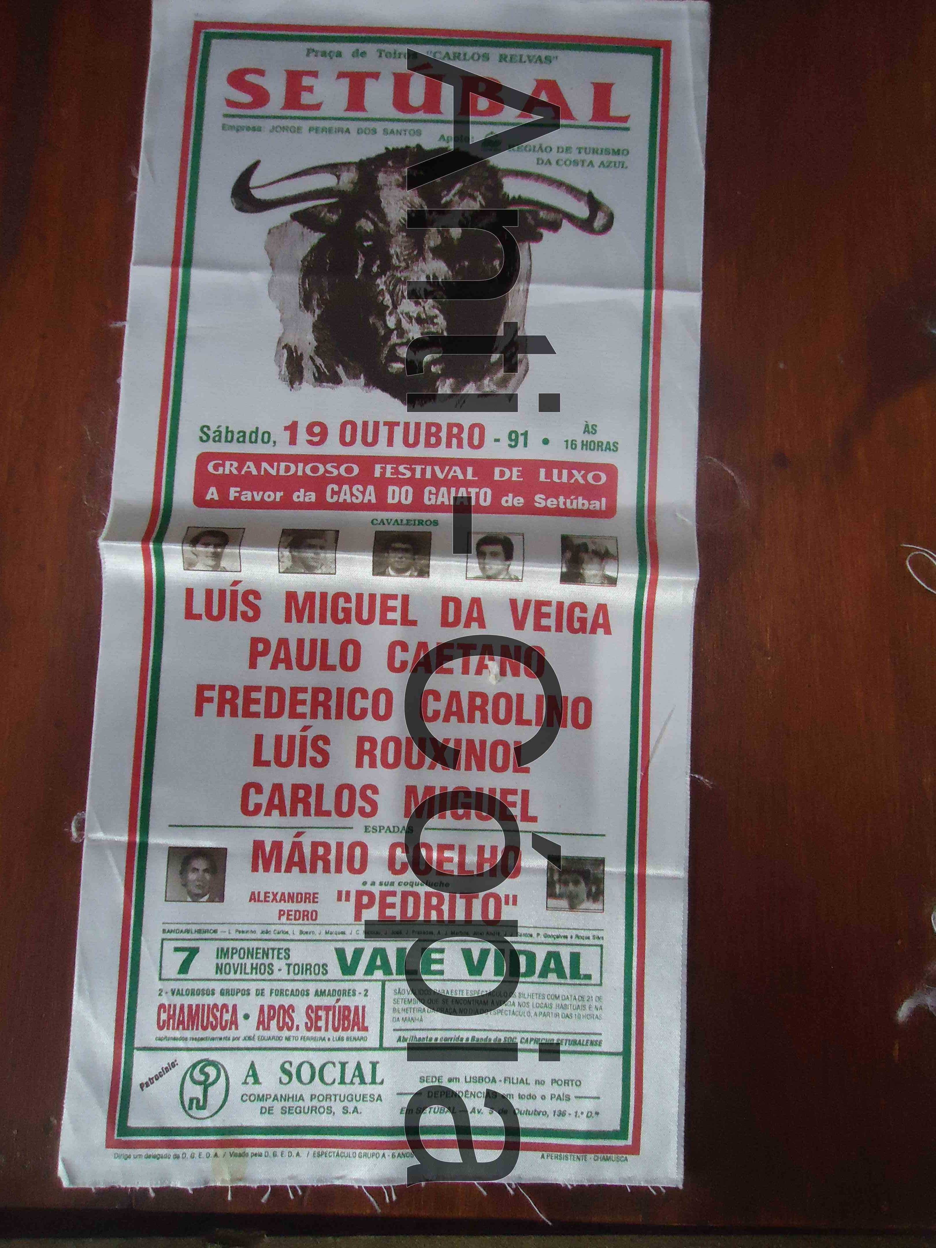 Toiros - Programas em Seda 5