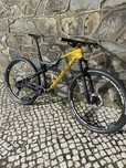 Coluer Stake carbono  L