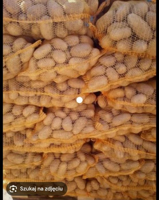Sprzedam ziemniaki Ignacy i Oueen anna