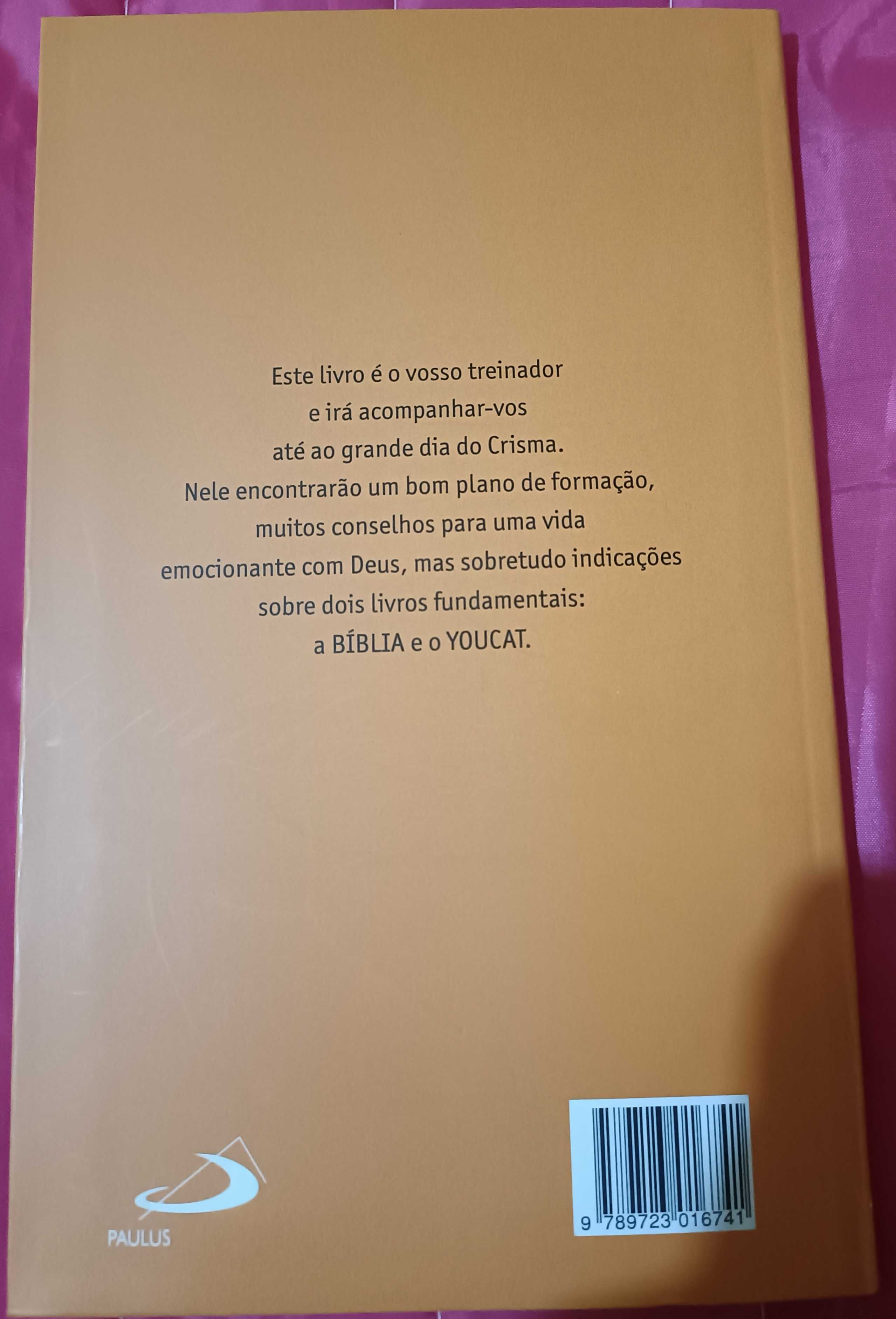 Youcat Preparação para o crisma