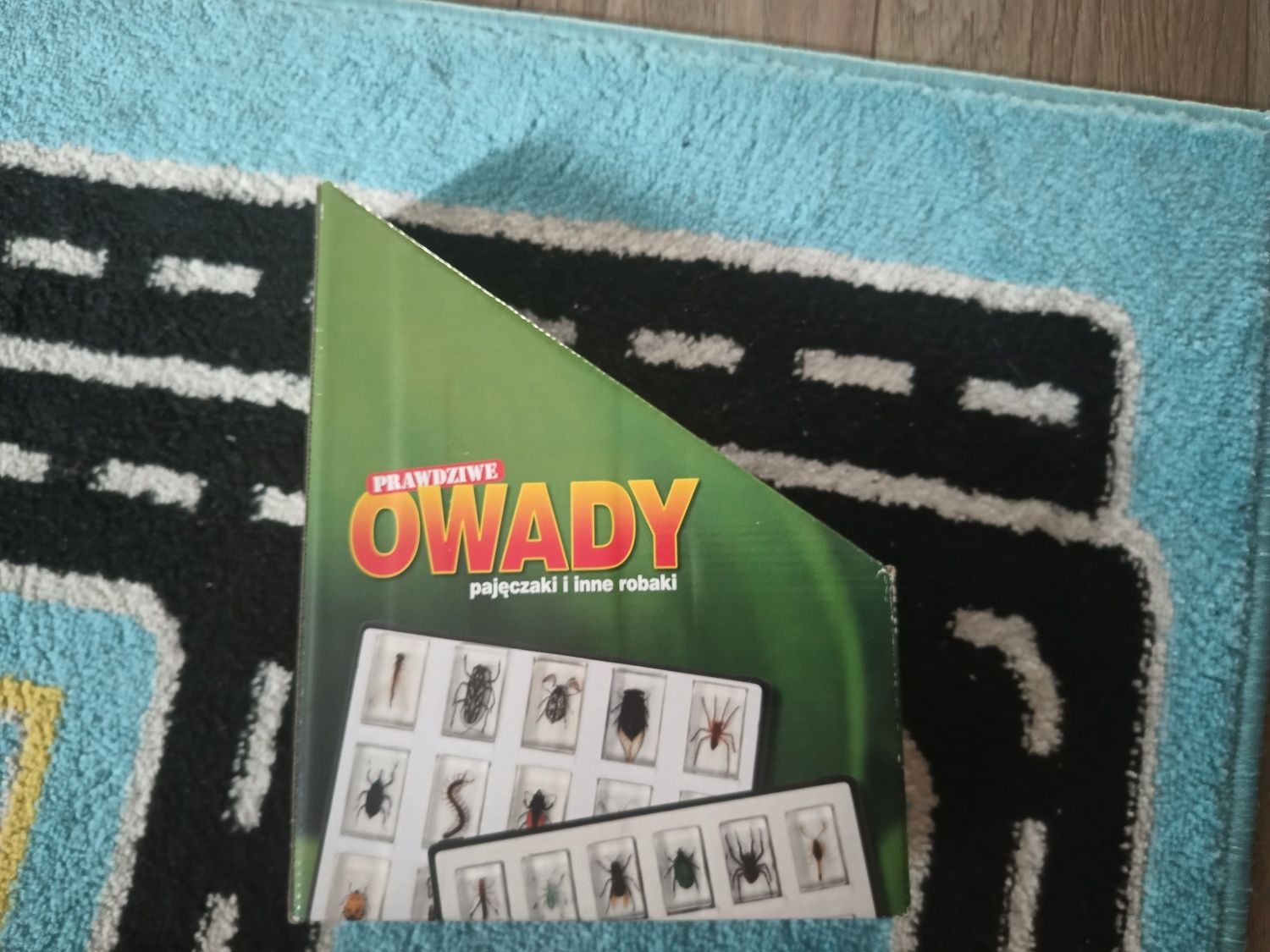 Owady z kolekcji "prawdziwe owady pajęczaki i inne robaki"