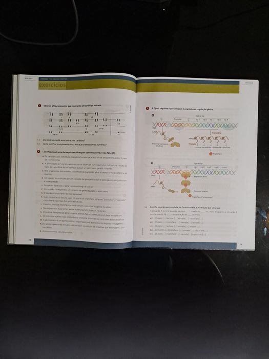 Caderno de Atividades Biologia 12º ano