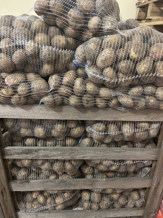 Ziemniaki Faktura Vat