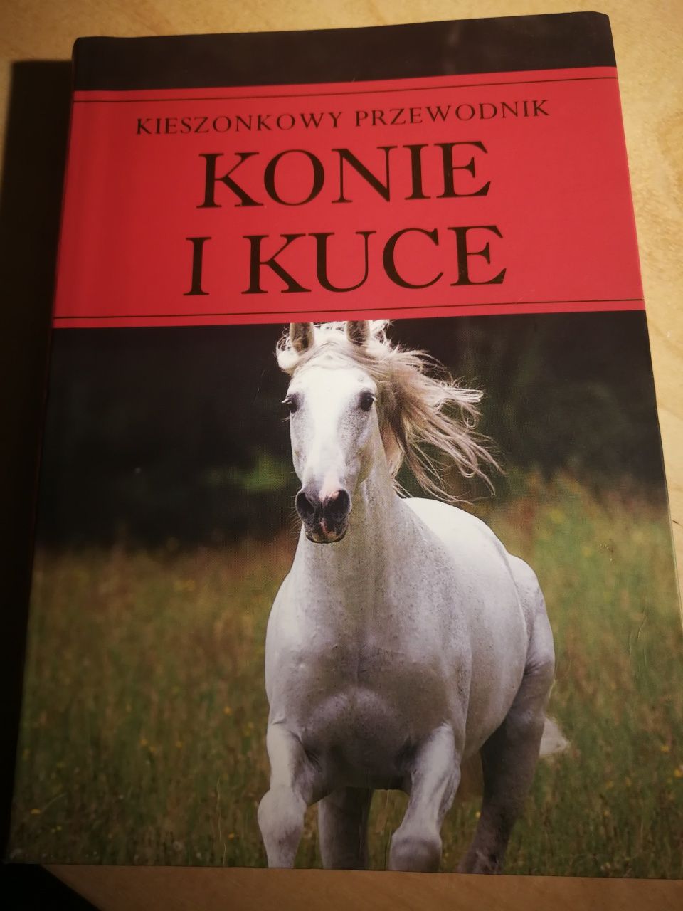 Konie i kuce przewodnik