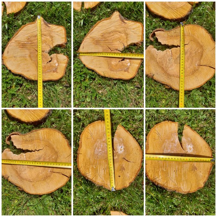 Plastry drewniane jabłoń