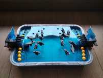 Gra Shooting Battleships