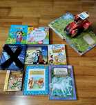 Livros infantis variados