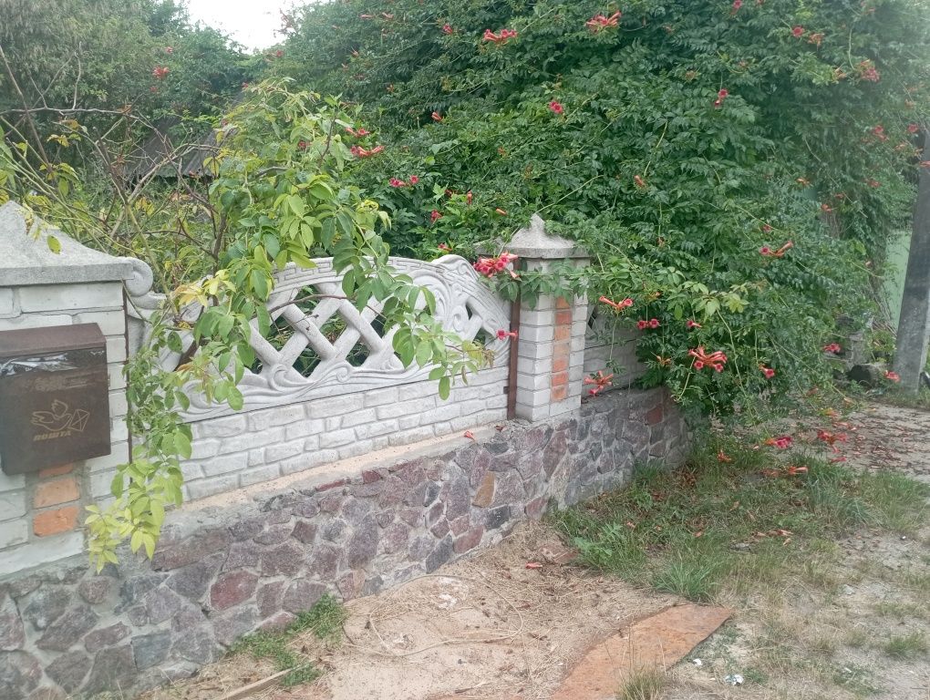 Продається будинок в селі Дмитрівка
