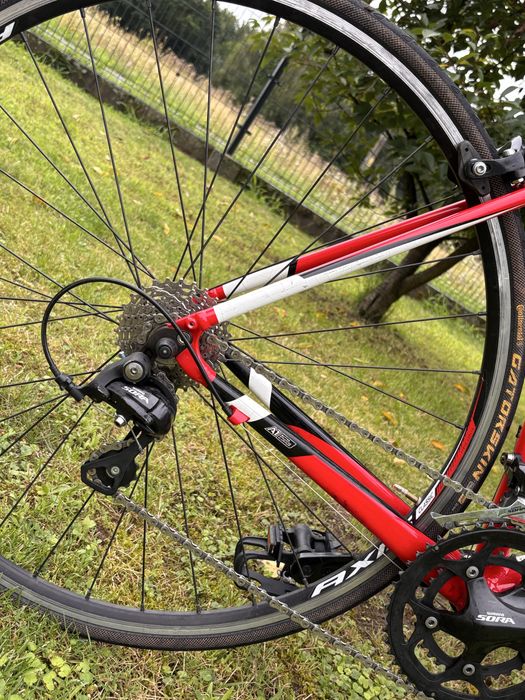 Specialized allez prosto po serwisie