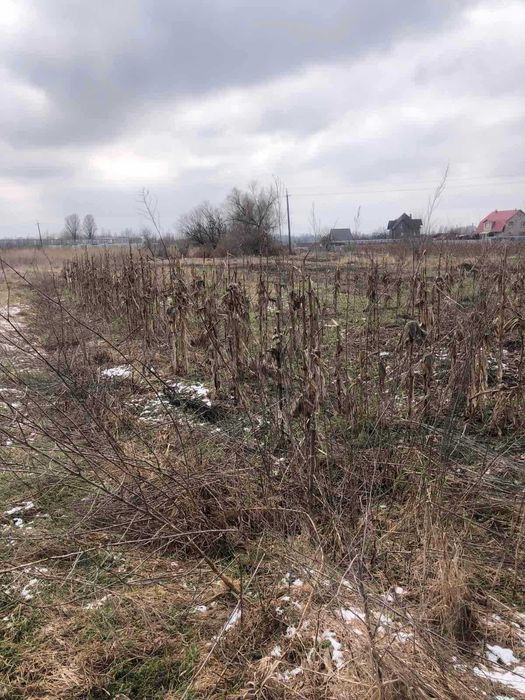 Пропоную до продажу земельну ділянку в с. Червона слобода