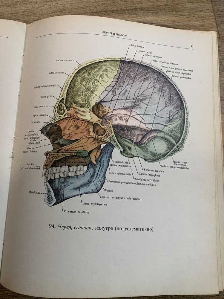 Radziecki atlas anatomii ZSRR CCCP