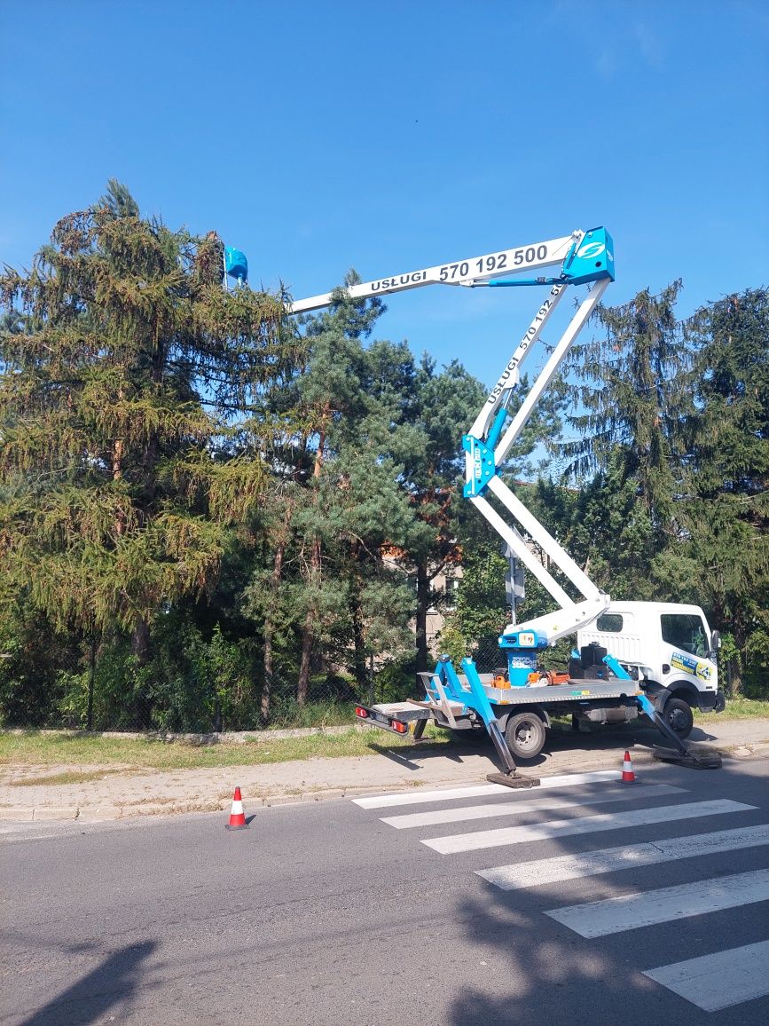Frezowanie pni Przycinanie,wycinanie drzew  usługi podnośnikiem zwyżka
