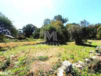 Terreno para construção em Afife
