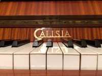 Pianino calisia nastrojone