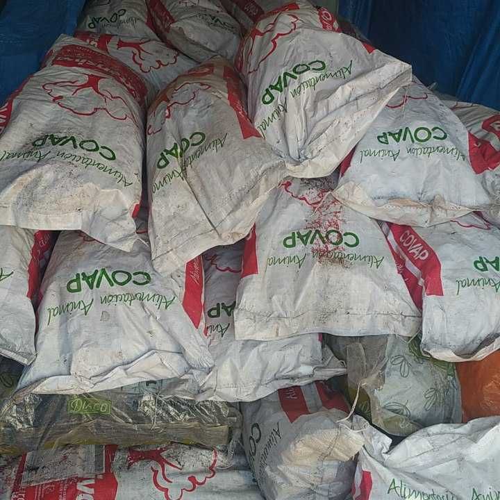 Carvão sacas 12kg
