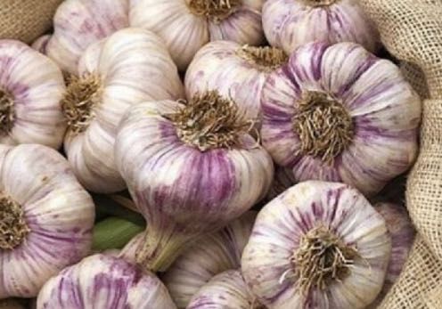 морква , цибуля часник