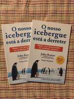 O nosso icebergue está a derreter | John Kotter & Holger Rathgeber