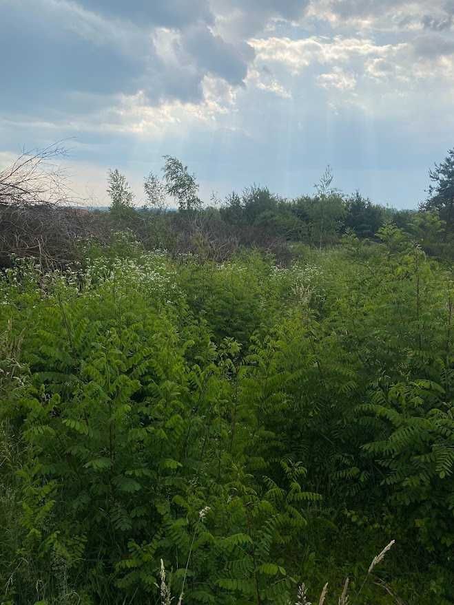 Продам ділянку під лісом біля Ужгорода — 12сот з краєвидом і проек буд