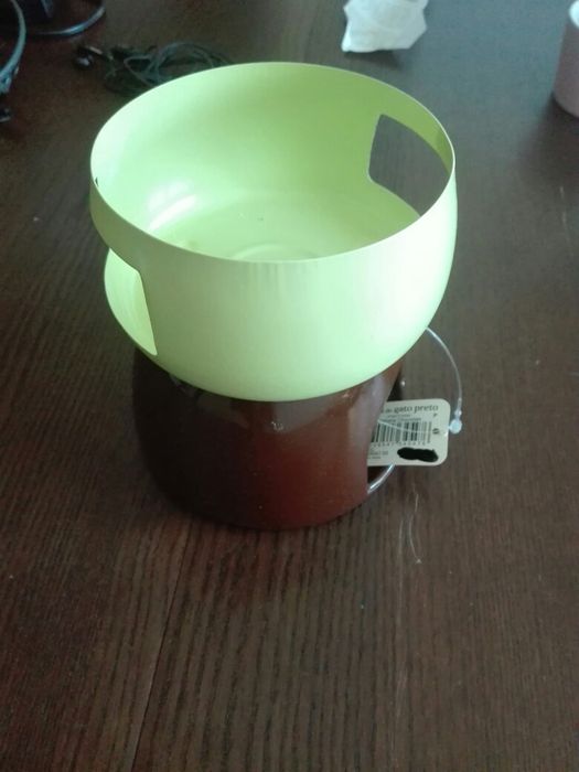 Fondue gato preto