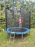 Trampolina Funfit 250 cm
