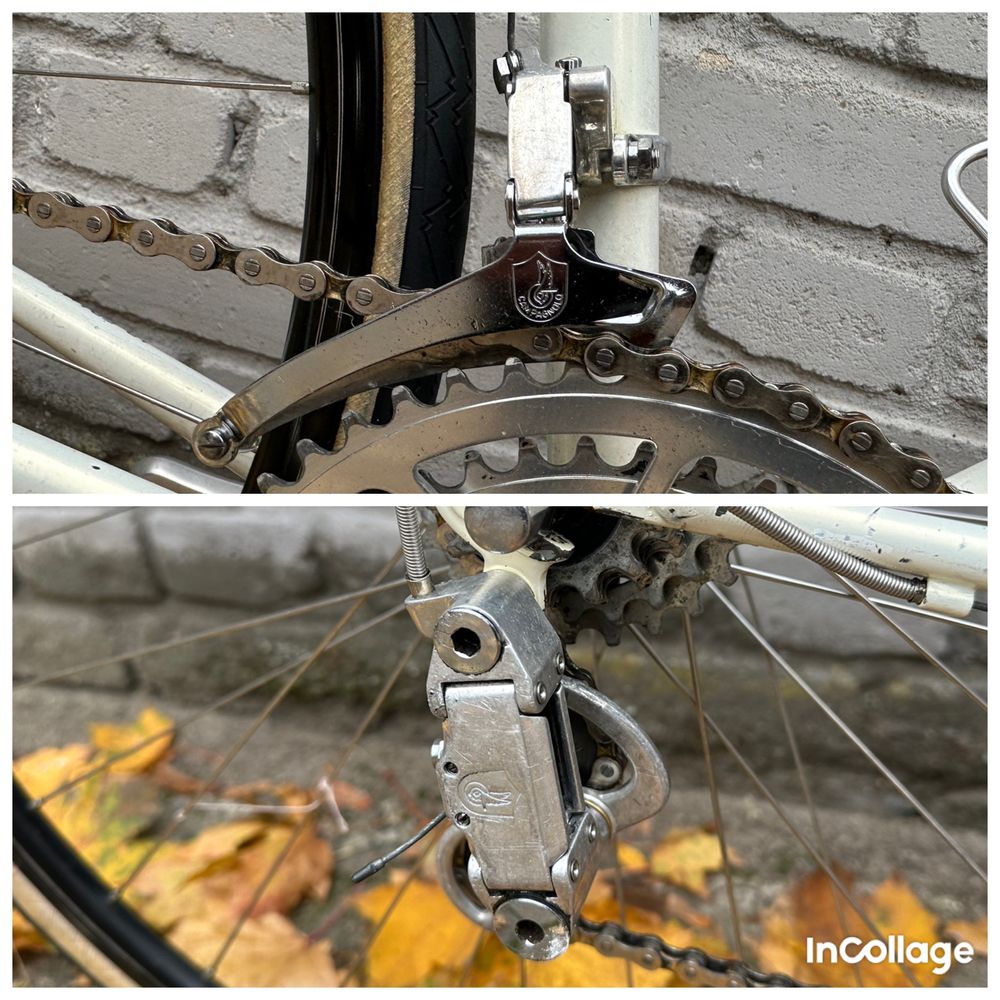 Retro rower szosowy Gazelle Champion Mondial Campagnolo Triomphe Reynl
