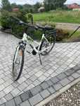 Rower trekkingowy Pegasus Piazza 28 cali