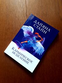Книга Кармическое исцеление Дайяна Стайн ОПТ Киев