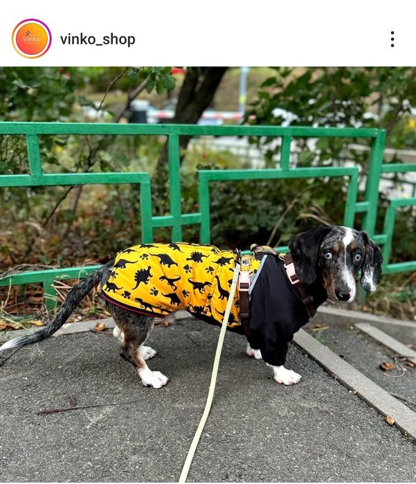 Одяг для собак, жилет зимовий для такси