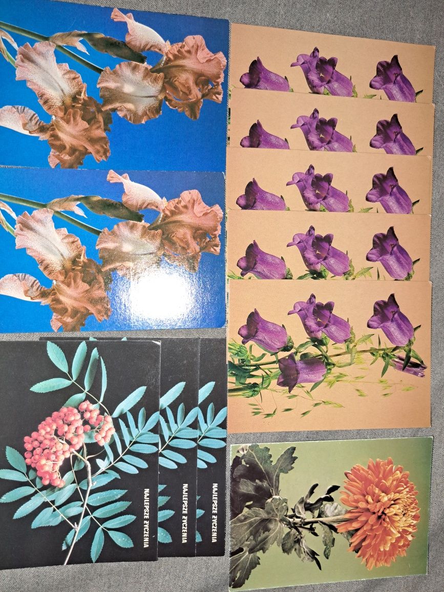 Pocztówki z kwiatami różne 11 sztuk lata 90