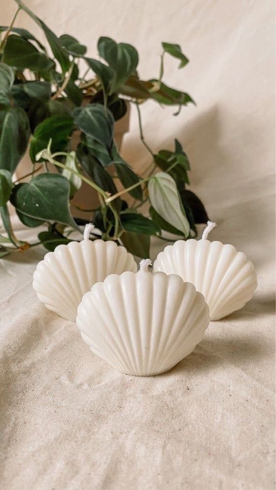 Świeca sojowa "Shell" Zapachowa!