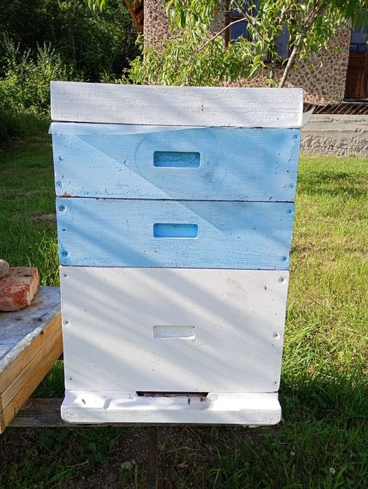 Продам вулики ппу хімексилен 12 рамкові