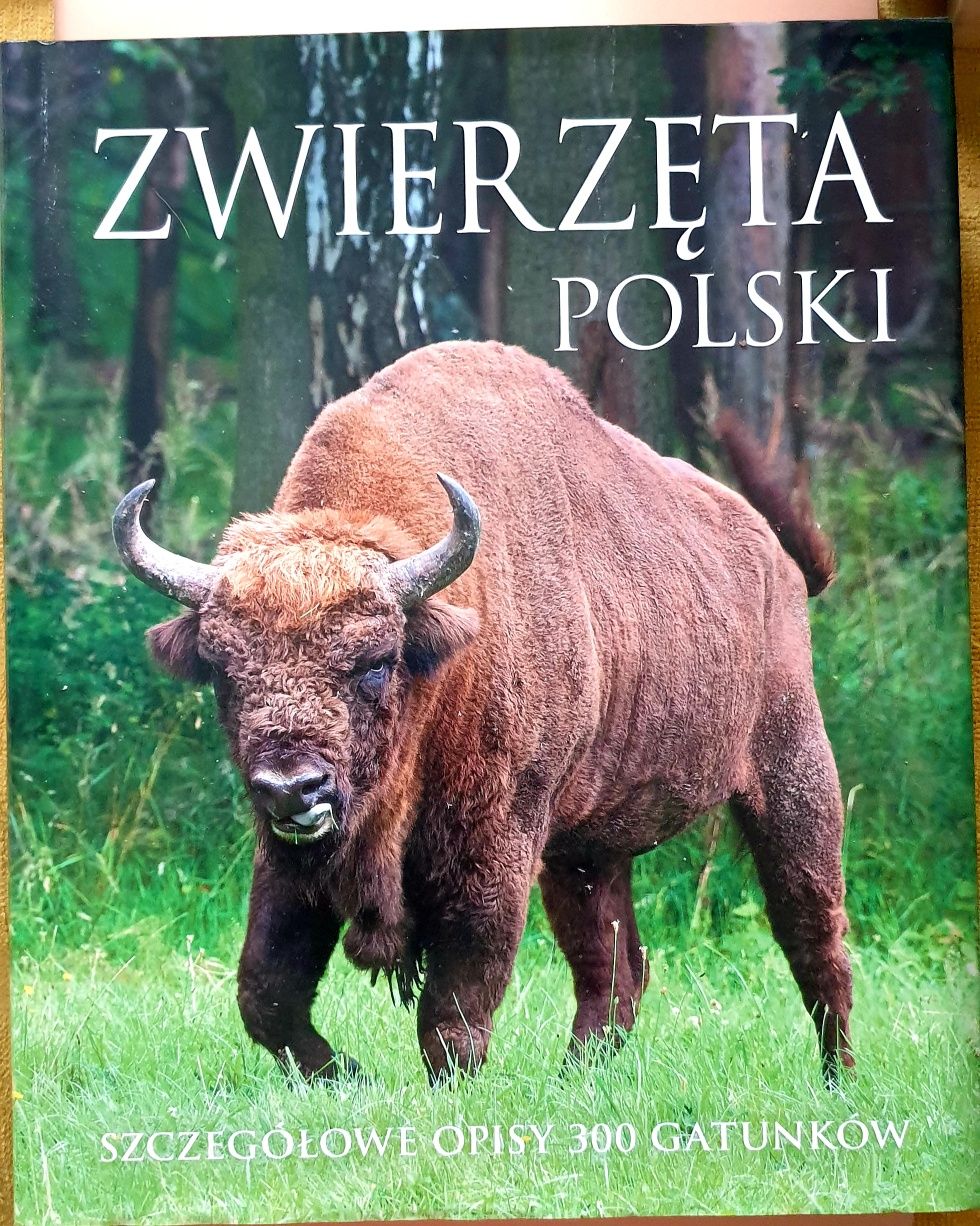 Zwierzęta Polski - szczegółowy opis 300 gatunków