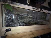 Terrarium terrarium
