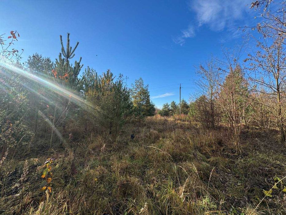 Продається  ділянка в с.Жорниська біля с.Домажир, 95 сот, промзона