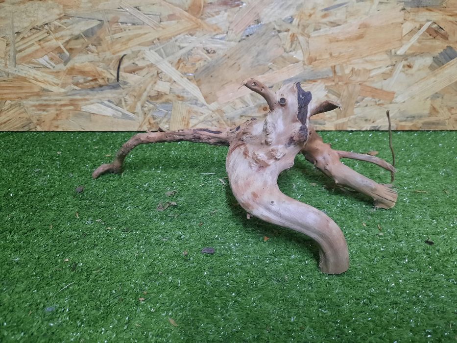 Korzeń do akwarium Red Moore Wood nr 1116 o wymiarach 33/15/16