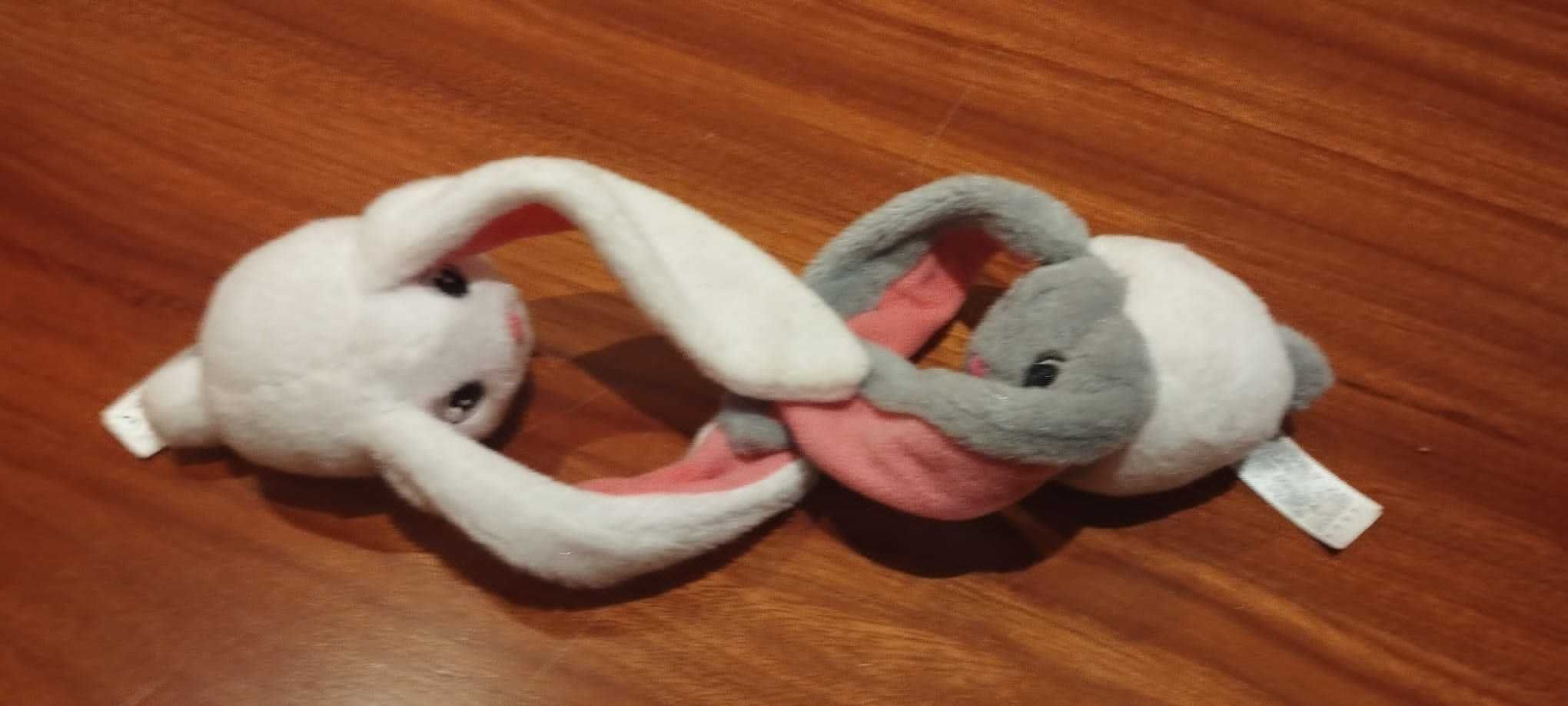Coelhos magnéticos