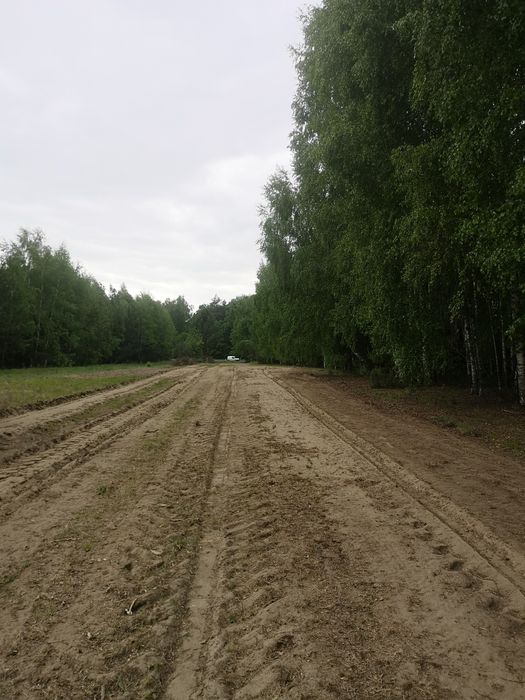 Czyszczenie dzialek mulczer leśny frezowanie pni likwidacja zakrzaczen