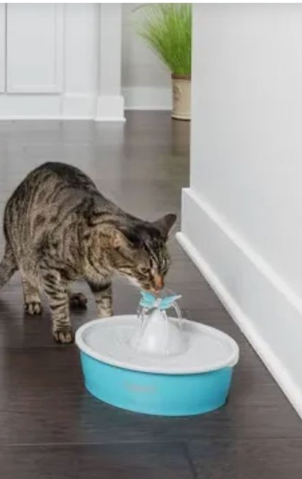 Fonte de água para gatos