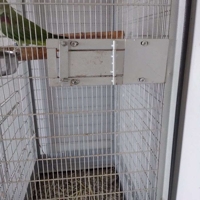 Klatka woliera papugi i inne