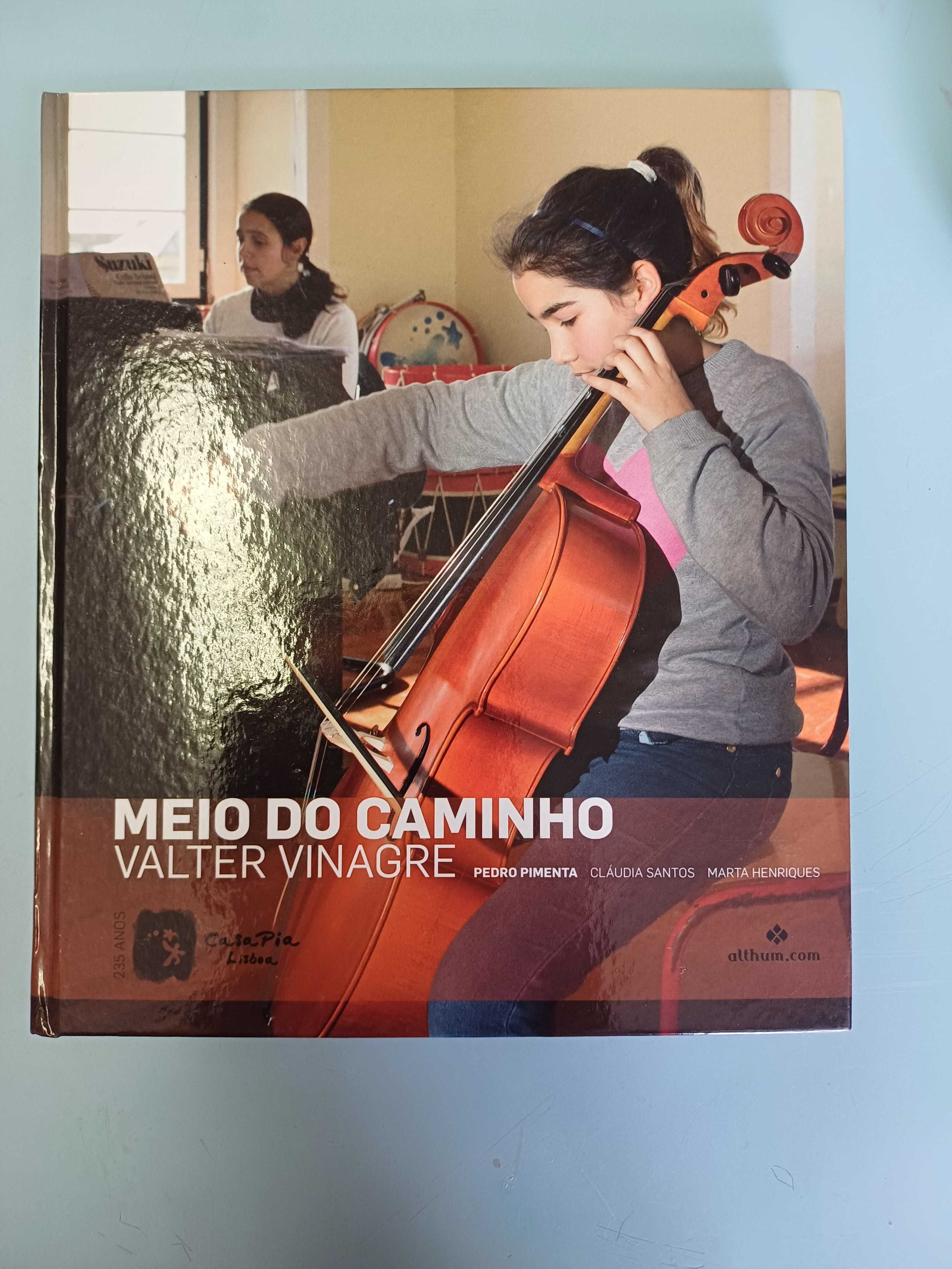 Meio do Caminho - Valter Vinagre